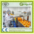 Compound Fruchtsaft-Verarbeitungsanlage zum Verkauf